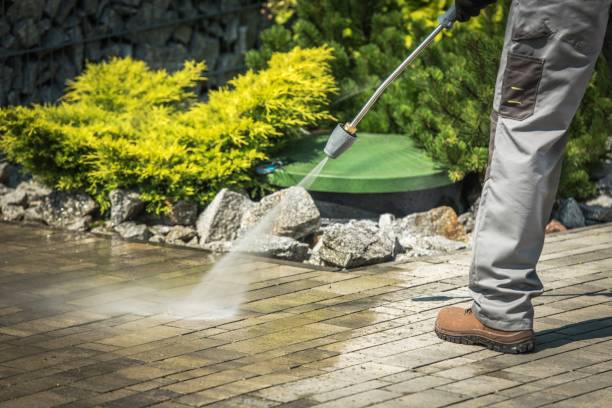 Best Soft Washing  in Acushnet Center, MA