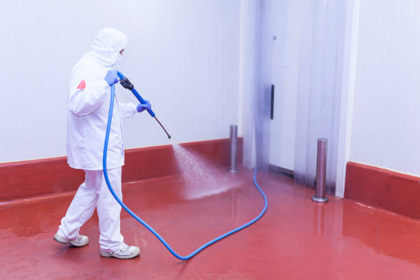Best Building Exterior Washing  in Acushnet Center, MA